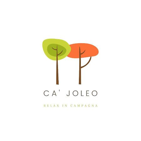 Ca'Joleo - Relax In Campagna Del Lago Di Garda San Giorgio in Salici Экстерьер фото